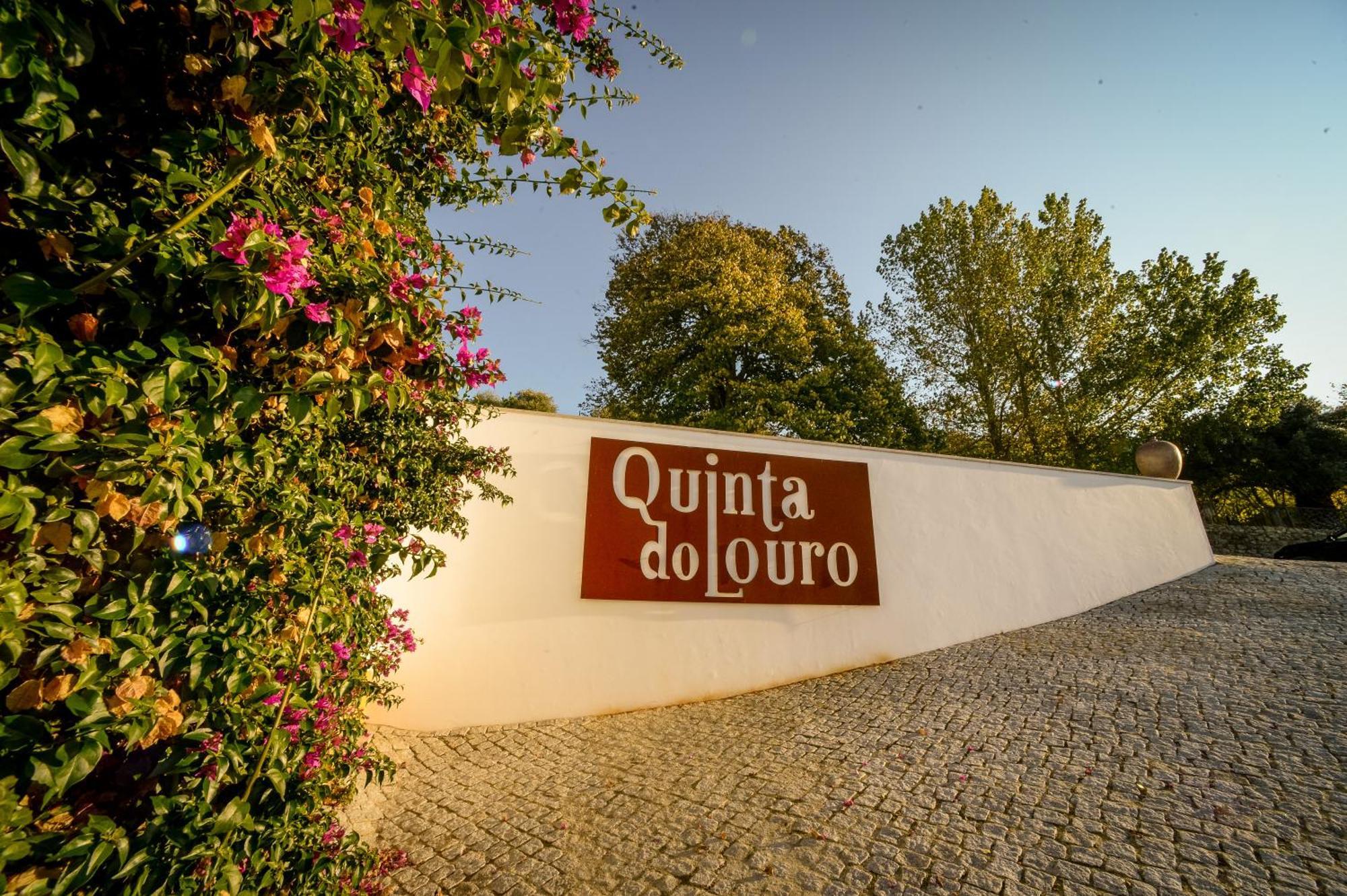 Quinta Do Louro Guest House Палмела Екстериор снимка